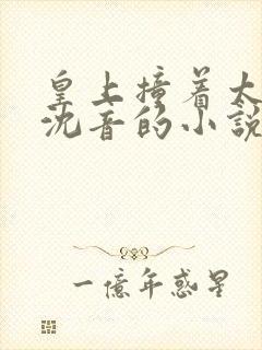 皇上撞着太子妃沈音的小说叫什么封面