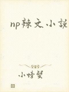 np辣文小说