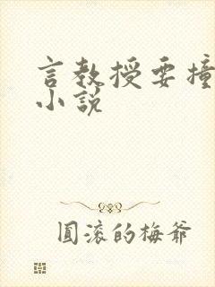 言教授要撞坏了小说封面