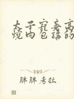 太子宠妾高肉红烧肉包讲的什么