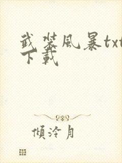 武装风暴txt下载封面