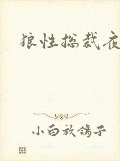 狼性总裁夜欢宠