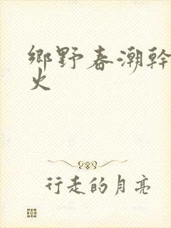 乡野春潮干柴烈火封面