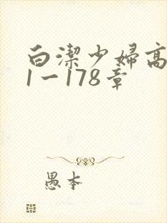 白洁少妇高义第1一178章
