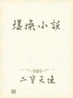 爆操小说封面
