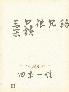 三只狼兄的宠妻宋钦