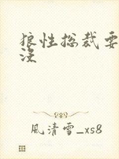 狼性总裁要够了没