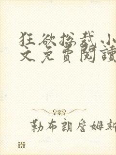 狂欲总裁小说全文免费阅读封面