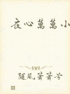 夜心万万小说