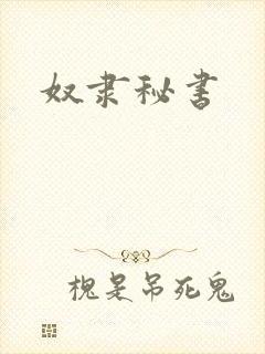 奴隶秘书封面