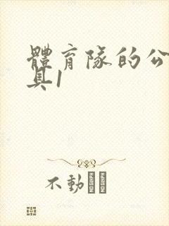 体育队的公用玩具1