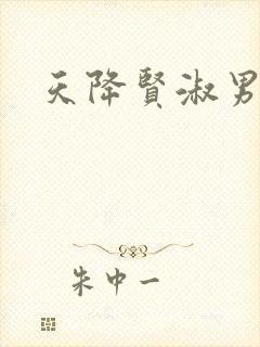 天降贤淑男小说