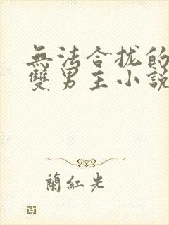 无法合拢的总裁双男主小说