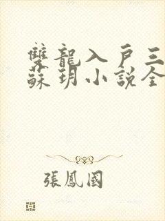 双龙入户三人行苏玥小说全文阅读封面