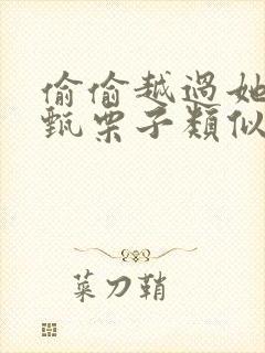 偷偷越过她by甄栗子类似小说封面