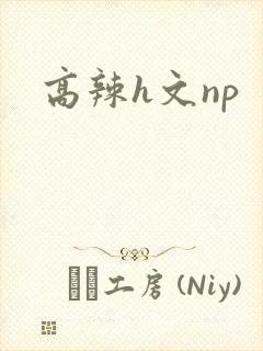 高辣h文np