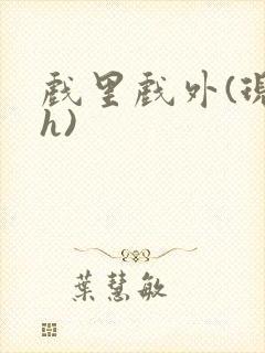 戏里戏外(现场h)