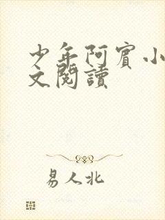 少年阿宾小说全文阅读