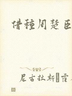 借种周楚臣封面