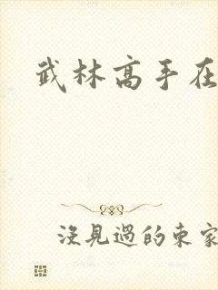 武林高手在异界