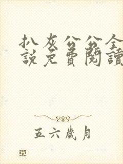 扒灰公公全部小说免费阅读全文封面