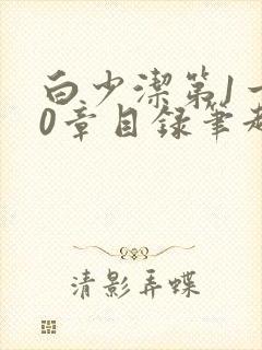 白少洁第1一40章目录笔趣阁