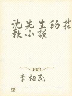 沈先生的花式调教小说