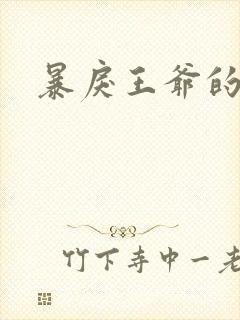 暴戾王爷的贱妾封面