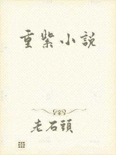 重紫小说