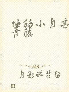 他的小月亮by青藤封面