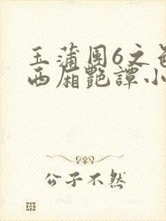 玉蒲团6之色情西厢艳谭小说