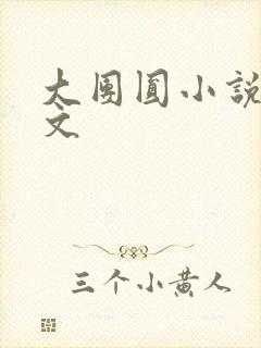 大团圆小说集全文封面