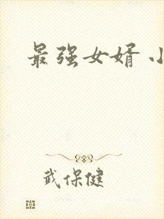 最强女婿 小说封面