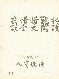 宋惜惜战北望小说全文阅读封面