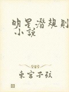 明星潜规则之皇 小说