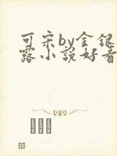 可宋by金银花露小说好看吗