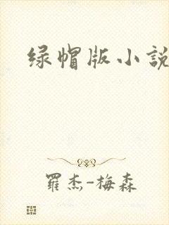 绿帽版小说封面
