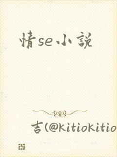 情se小说