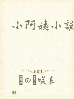小阿姨小说