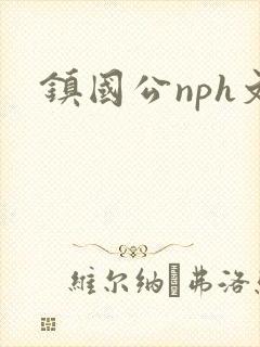 镇国公nph文