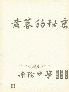 黄蓉的秘密封面