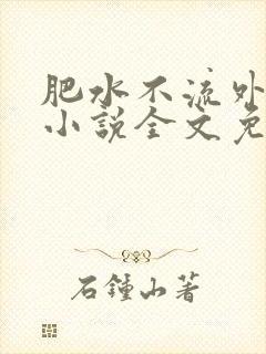 肥水不流外人田小说全文免费阅读1封面