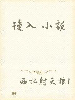 后入 小说