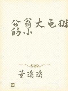 公翁大龟挺进我的小