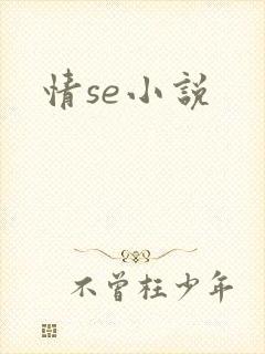 情se小说