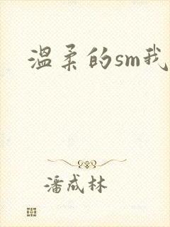 温柔的sm我