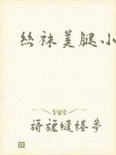 丝袜美腿小说封面