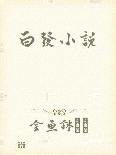 白发小说