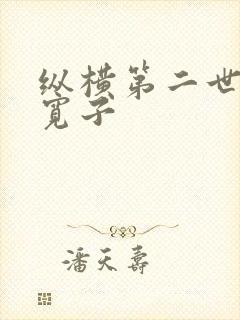 纵横第二世界 宽子封面