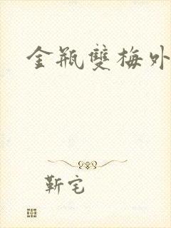 金瓶双梅外传